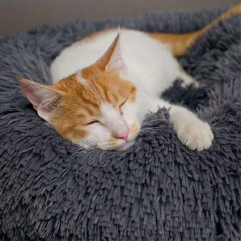 Cama Antistress para Animais - Fluffy™